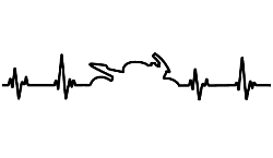 Heartbeat  with motorbike in the centre